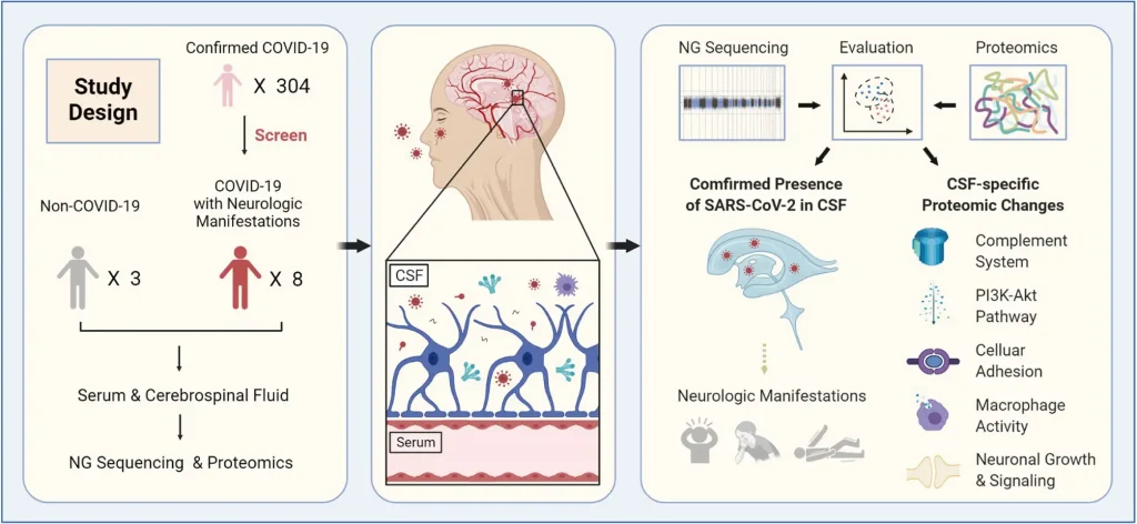 روند گسترش سل و درگیری پرده‌های مغز